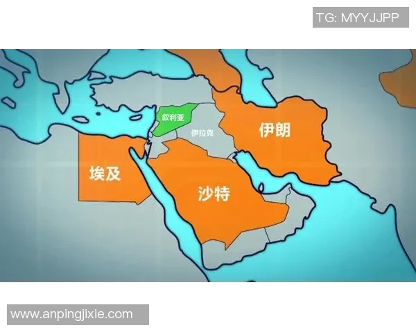 埃及对阵沙特直播频道信息及观看指南详解